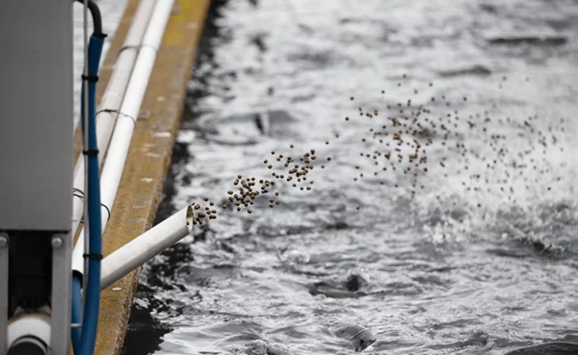 The water propulsion feeding system is a comprehensive and automated solution for the feed management in fish farming.