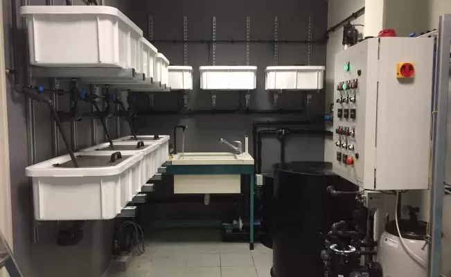 Teraqua designs customised easy-to-install equipment (SKID) for small modules.